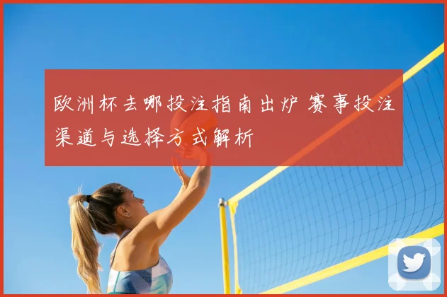 欧洲杯去哪投注指南出炉 赛事投注渠道与选择方式解析