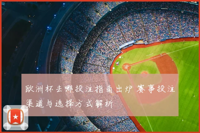 欧洲杯去哪投注指南出炉 赛事投注渠道与选择方式解析