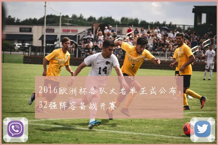 2016欧洲杯各队大名单正式公布,32强阵容备战开赛
