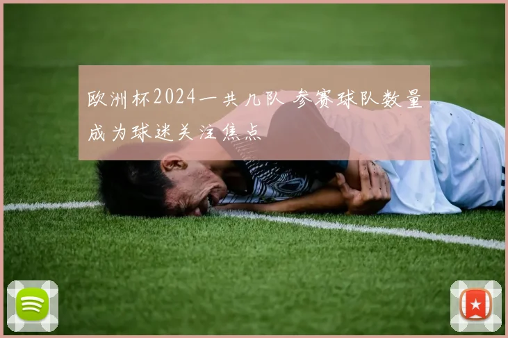 欧洲杯2024一共几队 参赛球队数量成为球迷关注焦点
