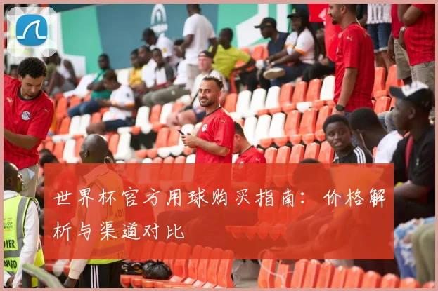 世界杯官方用球购买指南：价格解析与渠道对比