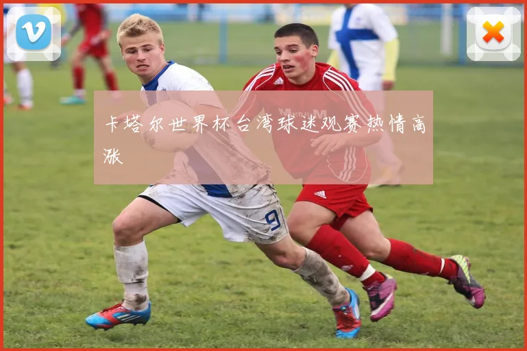 卡塔尔世界杯台湾球迷观赛热情高涨